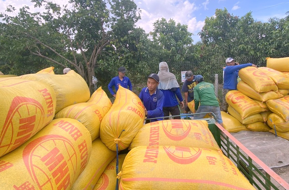 Xuất khẩu khởi sắc, cơ hội để khẳng định thương hiệu gạo Việt Nam (06/05/2024)